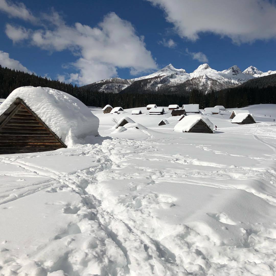 Javorniška planina