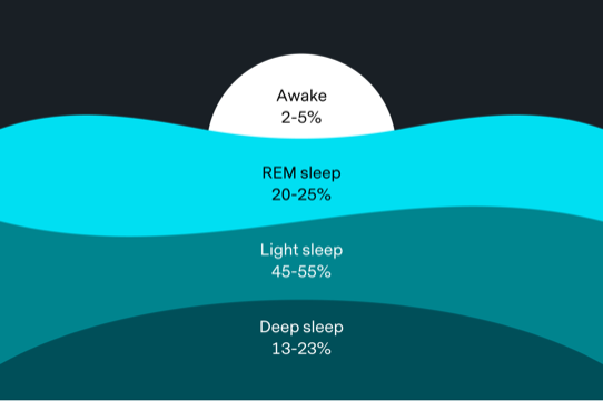 Sleep stages